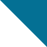 Diagonal split background with the top half in teal and the bottom half in dark green.